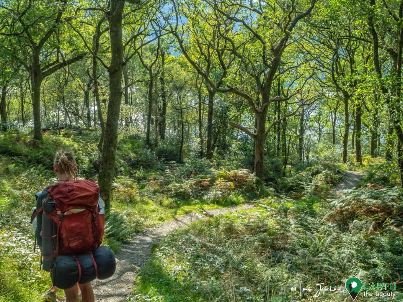 girl hiking on a path in the middle of the forest on a sunny day