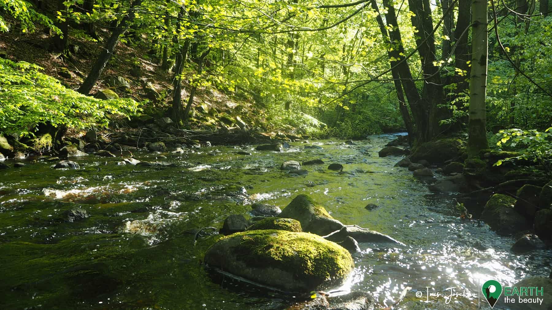 natural river creek in sweden