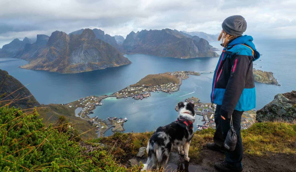 Urlaub mit dem Hund in Skandinavien