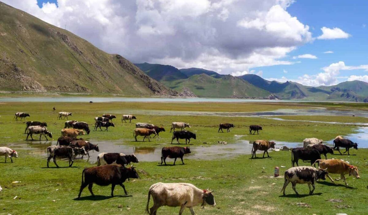 Die Schönheit Tibets (Natur- und Landschaftsbilder)