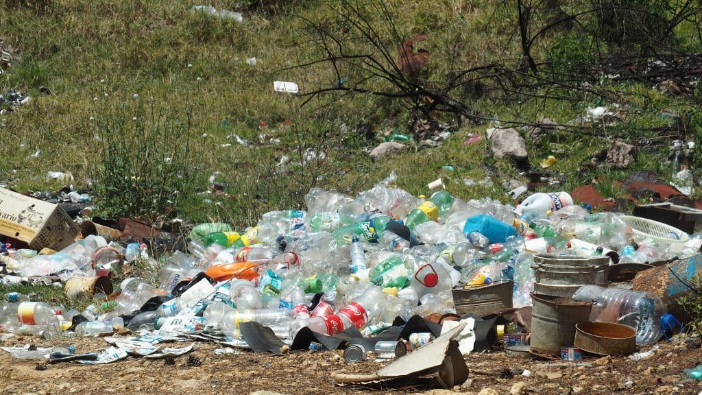 Abfall in Mexiko mitten in der Natur