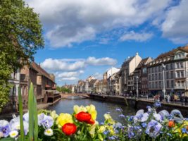 Tipps für Straßburg mit Hund und Fahrrad